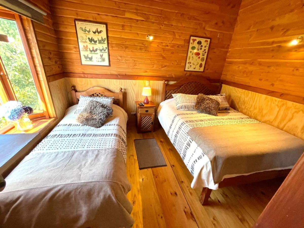 Hostal Pucon Sur Bagian luar foto